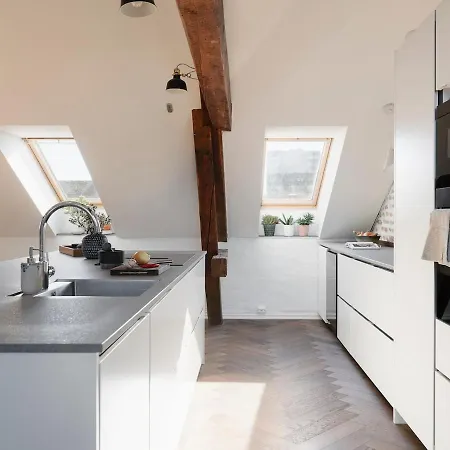 3Br Duplex Loft Balcony In Central Oslo Oslo
