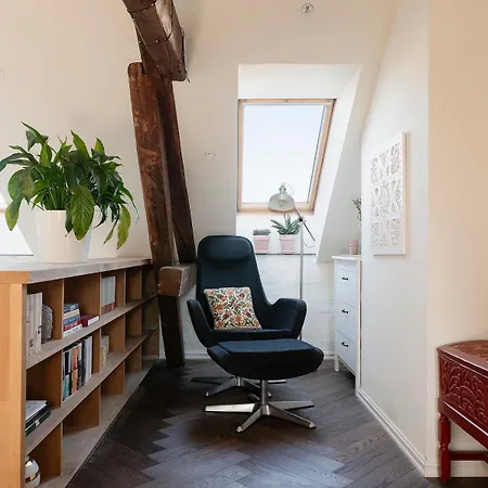 3Br Duplex Loft Balcony In Central Oslo Apartment *